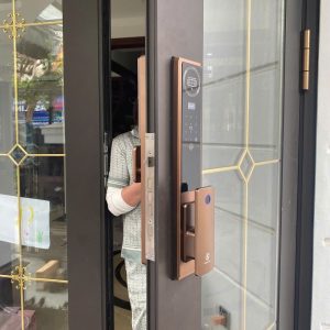 Khoá Vân Tay Khuôn Mặt Cửa Gỗ Cửa Nhôm Singfa Cho Cửa Chính Chung Cư